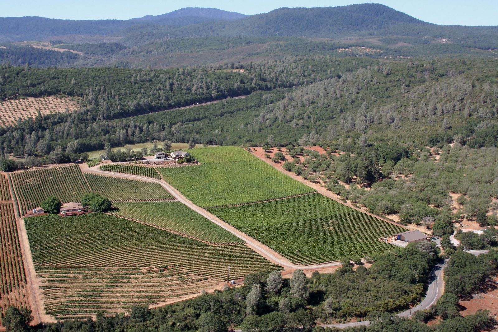 Aerial view of the property: houses, vineyard and winery, with Red Hills mountains in the background